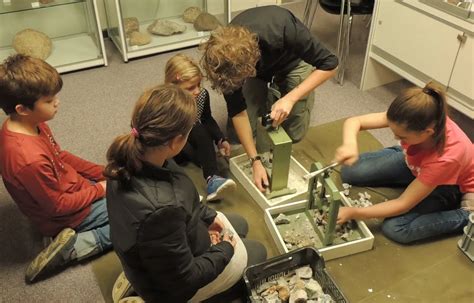 Het Nationale Geologisch Museum van Hegang: Ontdek de Schatten van de Aarde!