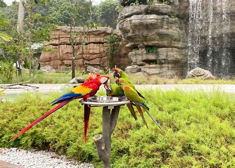  De Dongtai Bird Nature Reserve: Een Paradijs voor Vogelliefhebbers en een Oase van Rust!