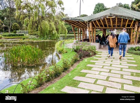  De Jardín Botánico José Celestino Mutis: Een groene oase en botanische schatkamer in het hart van Bogotá