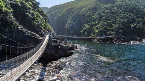  De Tsitsikamma Nationaal Park: Een Oase van Natuurlijke Schoonheid en Avontuurlijke Wandelingen!