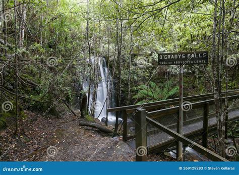 De Ylaya Falls: Een Mysterieuze Watererval Omgeven door Dicht Regenwoud!