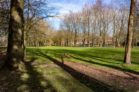 Het Oude Stadspark van Bazhong: Een groene oase met historische allure!