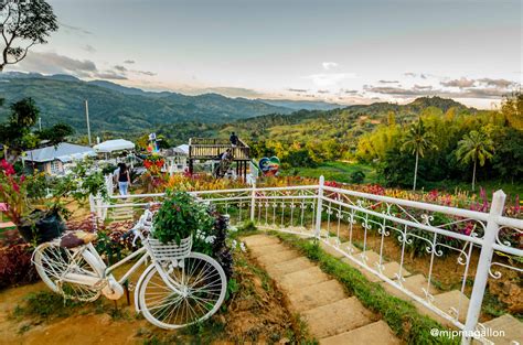  Sirao Flower Farm: De Bloeiende Paradijs van Cebu!