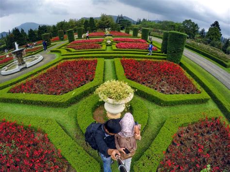 Taman Bunga Nusantara: Een Bloeiende Pracht van Kleuren en Culturen!